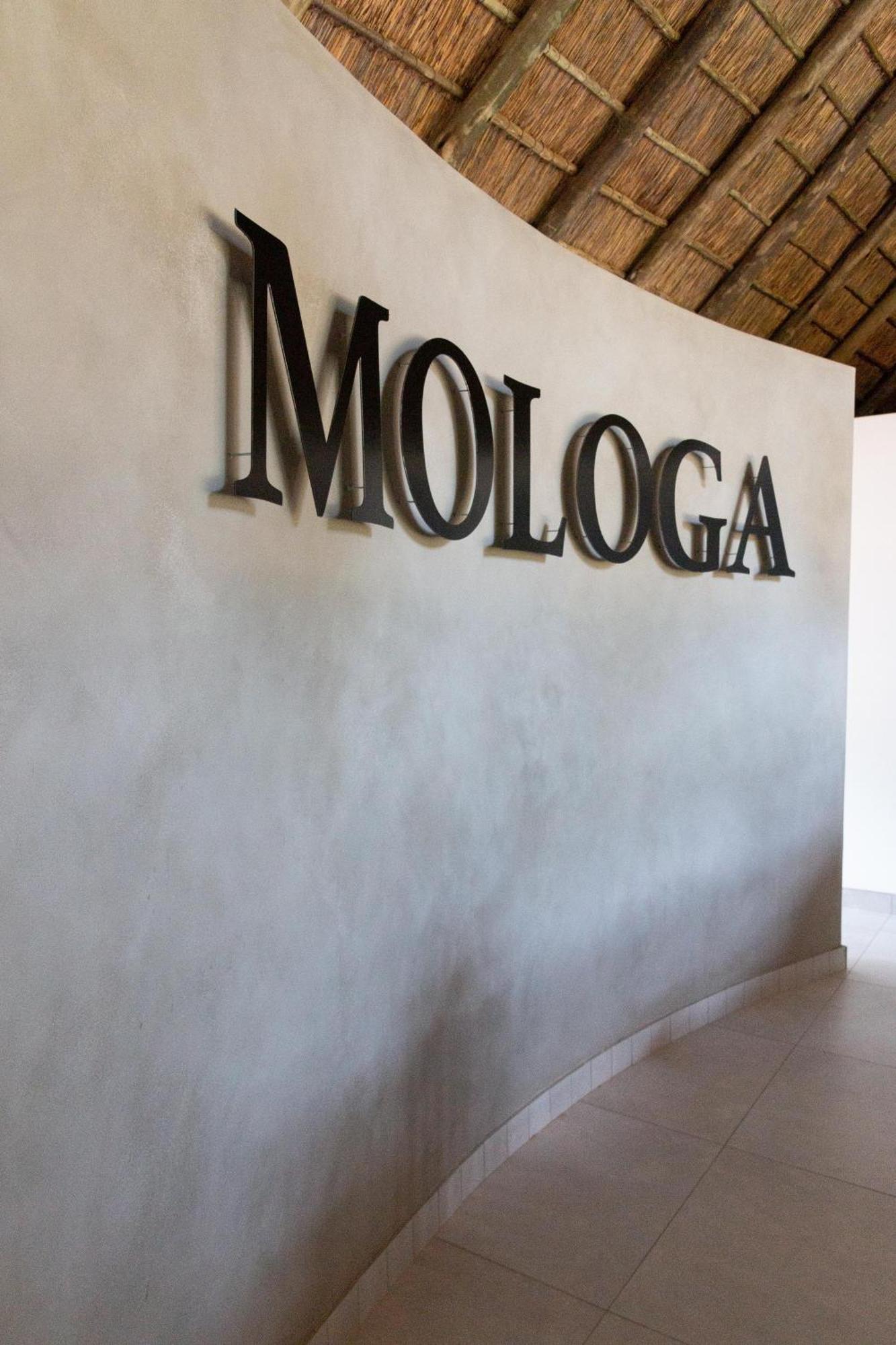 Mologa River Lodge Rust de Winter Exterior photo
